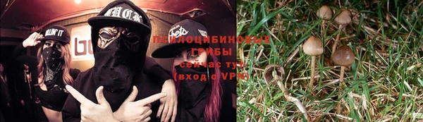 соль курить ск Богданович